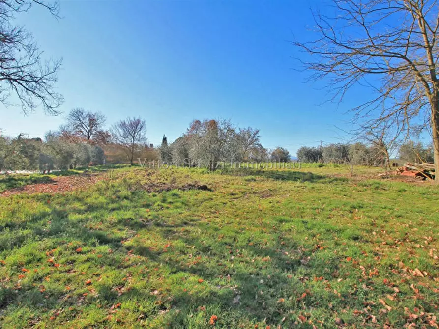 Immagine 7 di Rustico / casale in vendita  in Farneta a Cortona