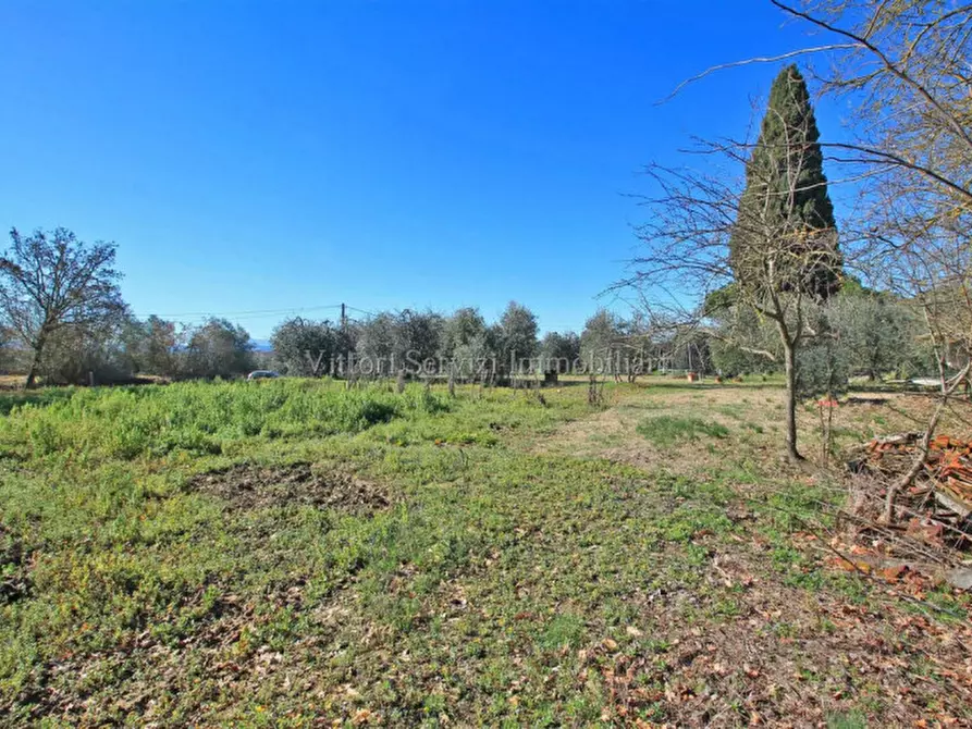 Immagine 8 di Rustico / casale in vendita  in Farneta a Cortona