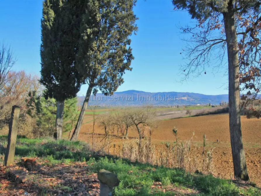 Immagine 9 di Rustico / casale in vendita  in Farneta a Cortona