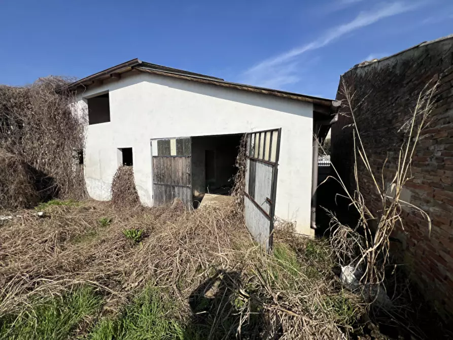 Immagine 14 di Villetta a schiera in vendita  in Via Paolo uccello snc a Legnago