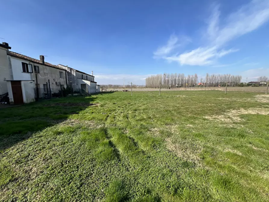 Immagine 19 di Villetta a schiera in vendita  in Via Paolo uccello snc a Legnago