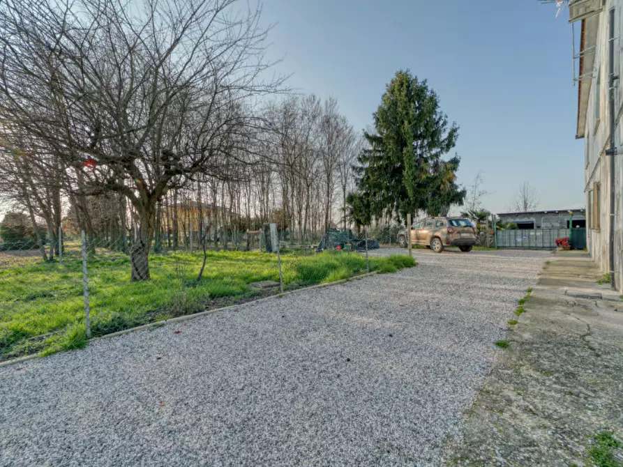 Immagine 22 di Casa trifamiliare in vendita  in Via Sacco a Villafranca Padovana