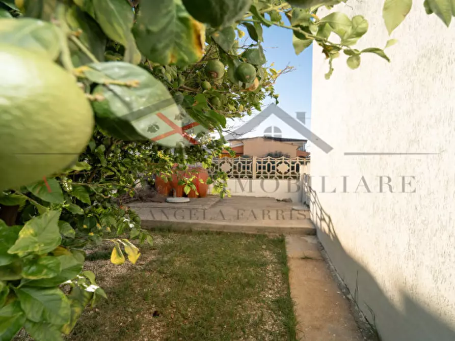 Immagine 2 di Casa indipendente in vendita  a Torpè