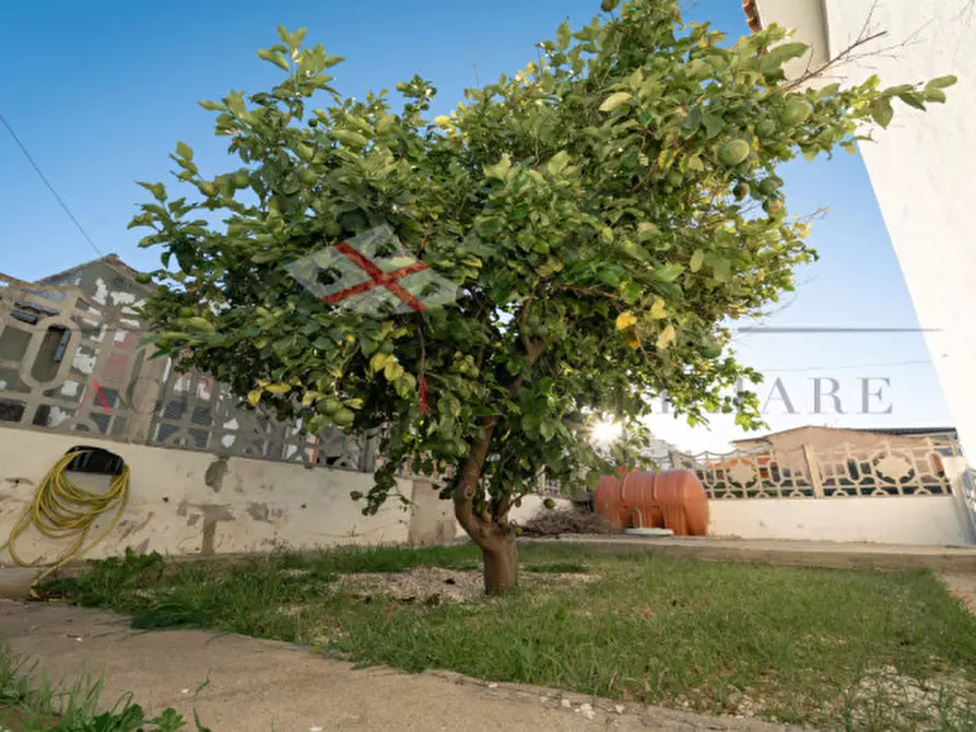 Immagine 5 di Casa indipendente in vendita  a Torpè