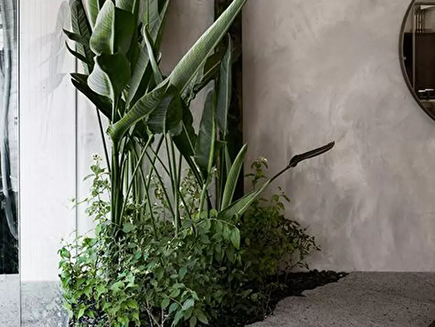 Immagine 9 di Appartamento in vendita  in via argine sinistro 25 a Dolo