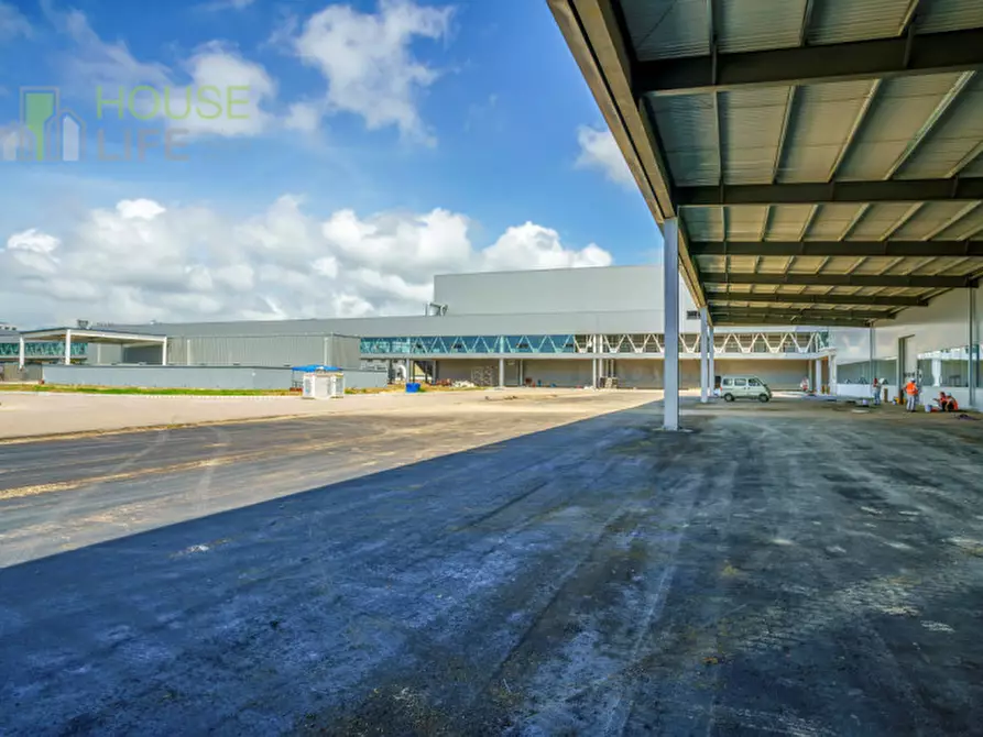 Immagine 3 di Capannone industriale in vendita  a Zanè