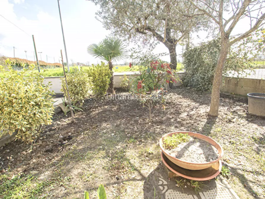 Immagine 14 di Casa indipendente in vendita  a Prato