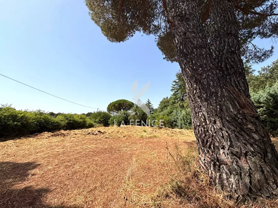 Immagine 5 di Casa indipendente in vendita  in Via Alberobello a Martina Franca