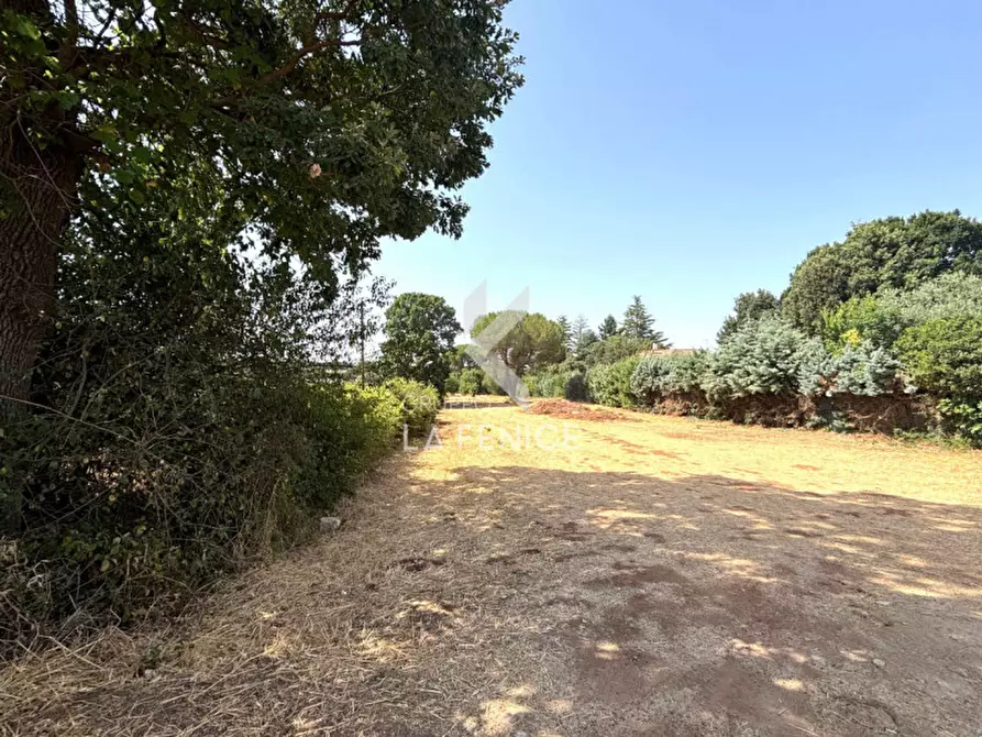 Immagine 6 di Casa indipendente in vendita  in Via Alberobello a Martina Franca