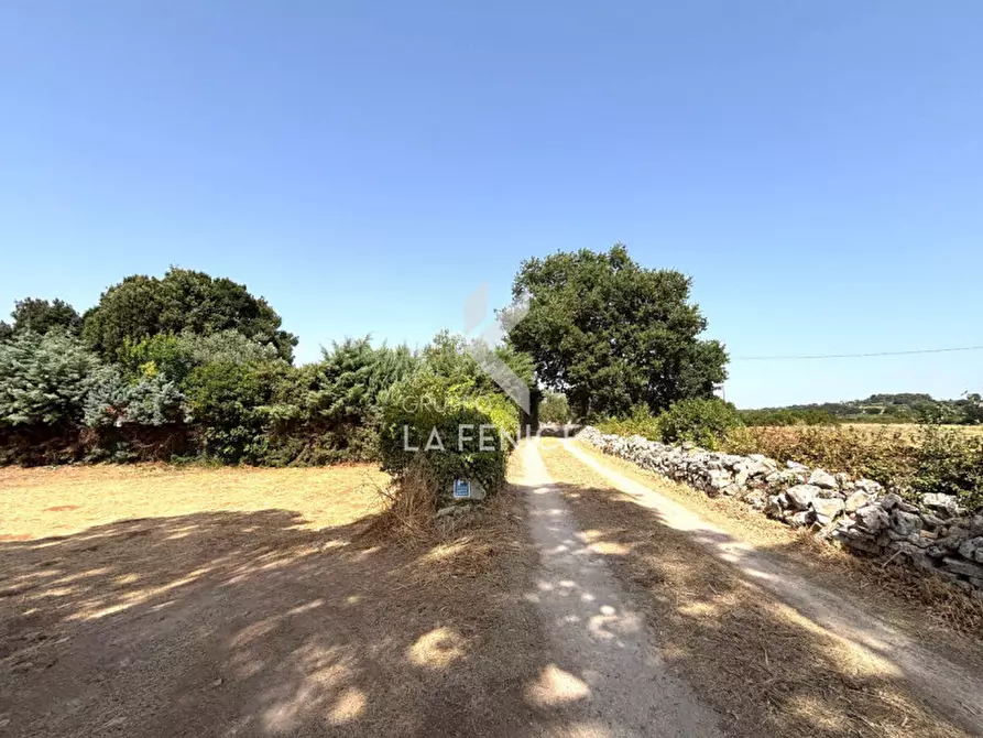 Immagine 7 di Casa indipendente in vendita  in Via Alberobello a Martina Franca