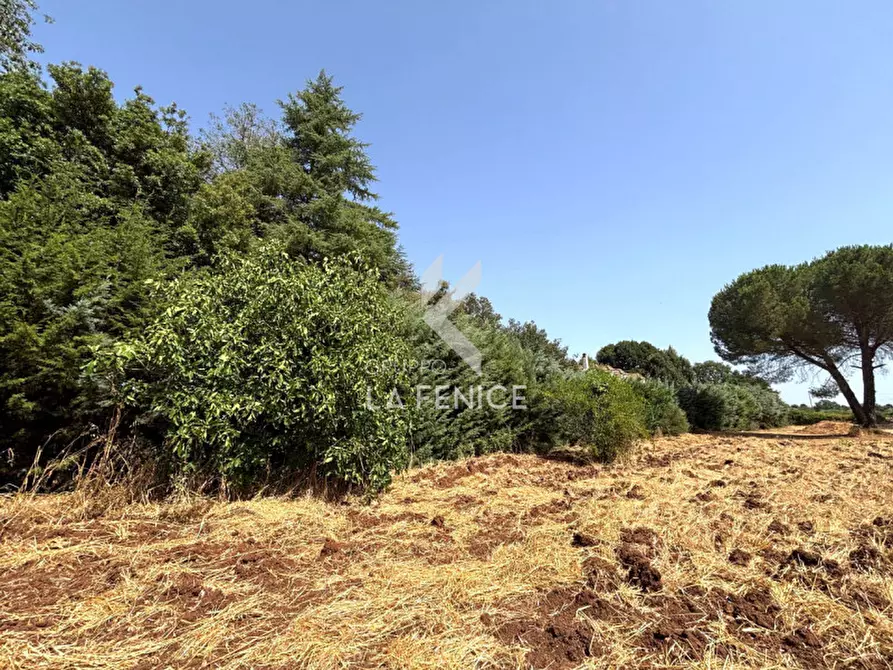Immagine 8 di Casa indipendente in vendita  in Via Alberobello a Martina Franca
