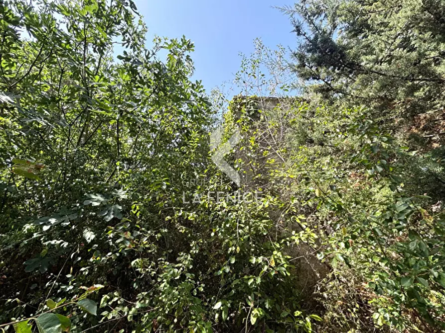 Immagine 9 di Casa indipendente in vendita  in Via Alberobello a Martina Franca