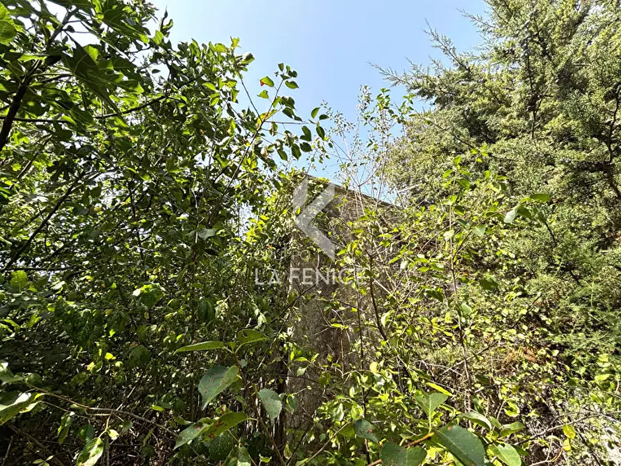 Immagine 10 di Casa indipendente in vendita  in Via Alberobello a Martina Franca
