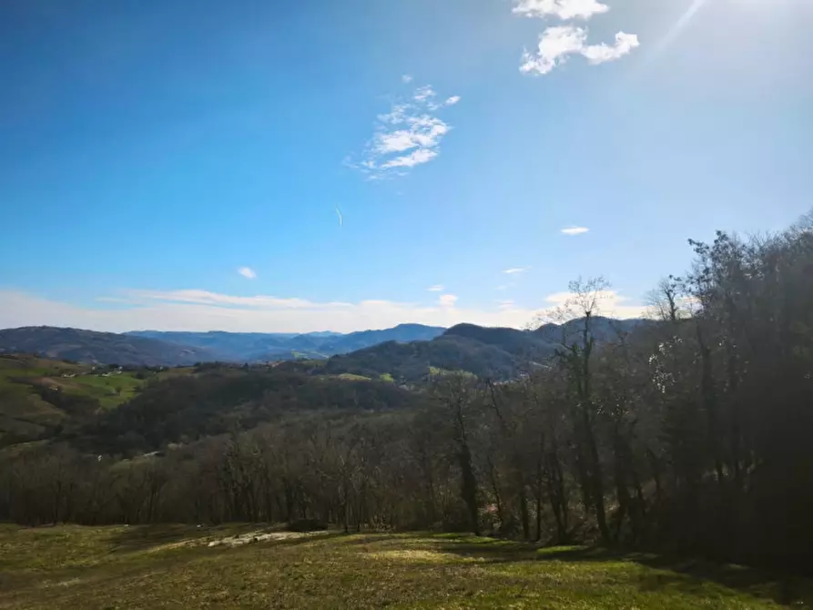 Immagine 2 di Terreno in vendita  in strada le Mole a Neviano Degli Arduini