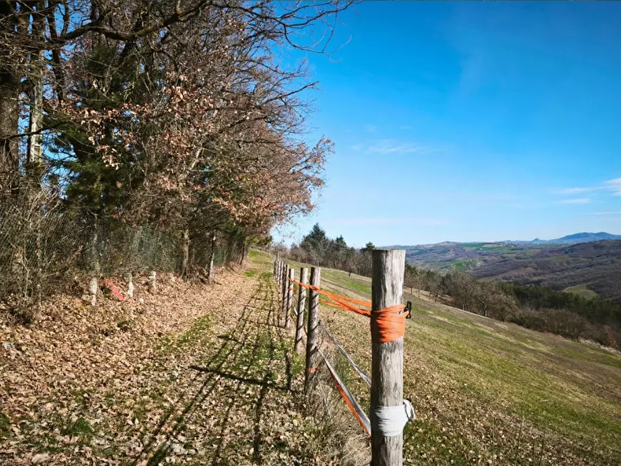 Immagine 3 di Terreno in vendita  in strada le Mole a Neviano Degli Arduini