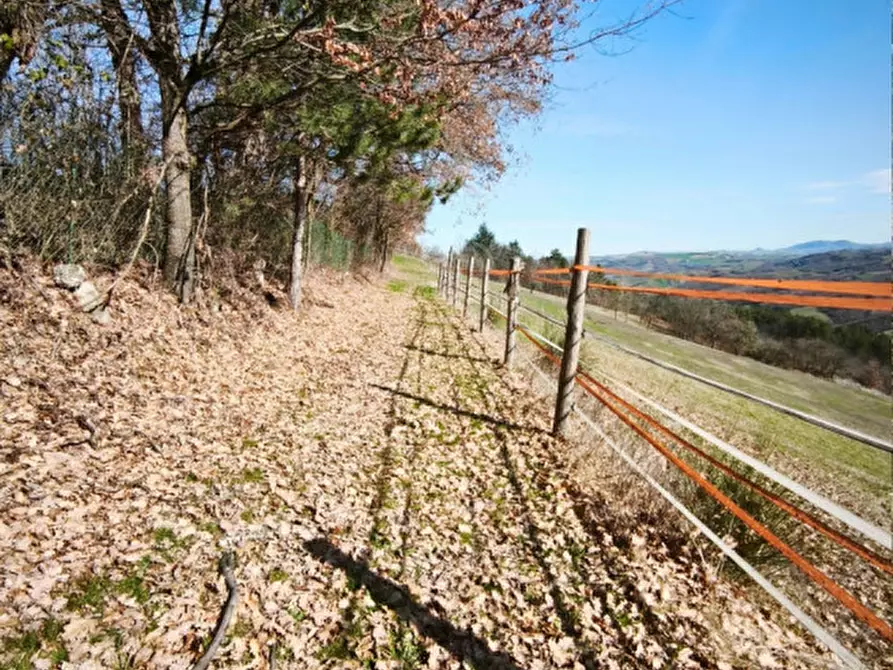 Immagine 4 di Terreno in vendita  in strada le Mole a Neviano Degli Arduini