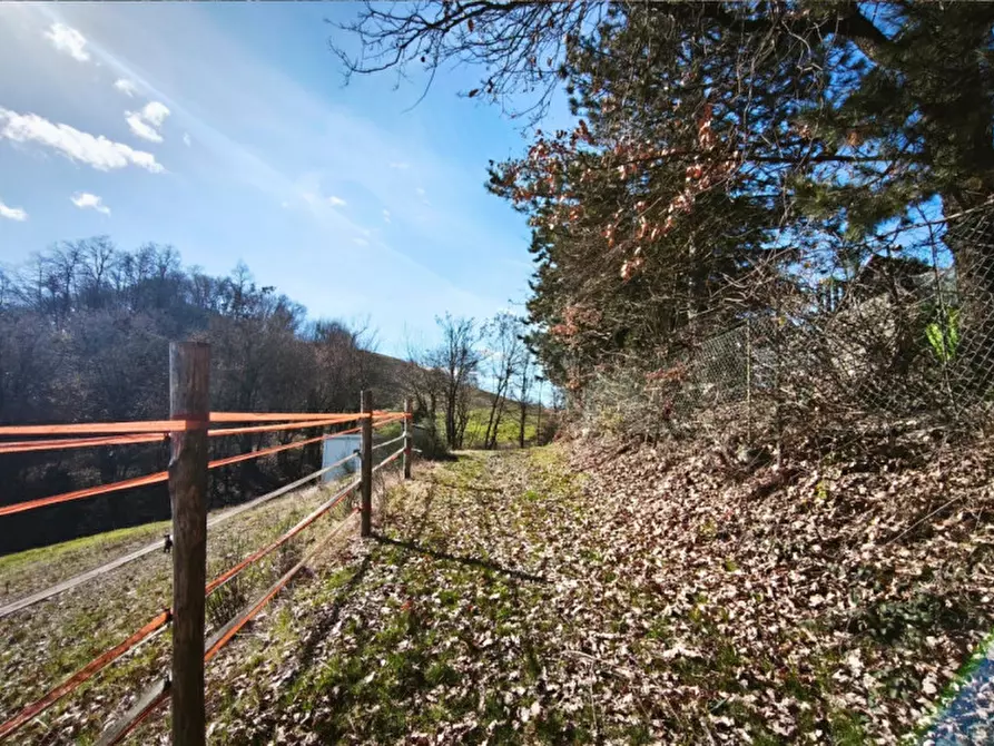 Immagine 5 di Terreno in vendita  in strada le Mole a Neviano Degli Arduini