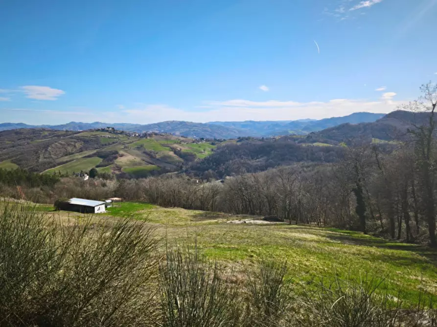 Immagine 7 di Terreno in vendita  in strada le Mole a Neviano Degli Arduini