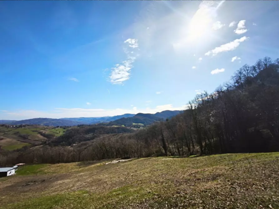 Immagine 8 di Terreno in vendita  in strada le Mole a Neviano Degli Arduini