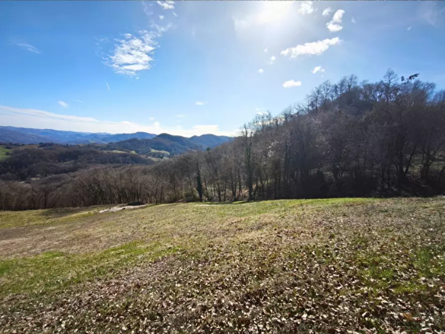 Immagine 9 di Terreno in vendita  in strada le Mole a Neviano Degli Arduini