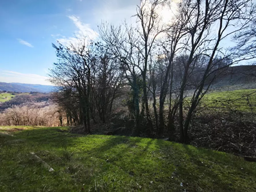 Immagine 11 di Terreno in vendita  in strada le Mole a Neviano Degli Arduini