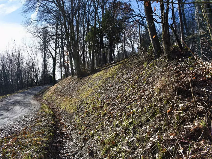 Immagine 14 di Terreno in vendita  in strada le Mole a Neviano Degli Arduini