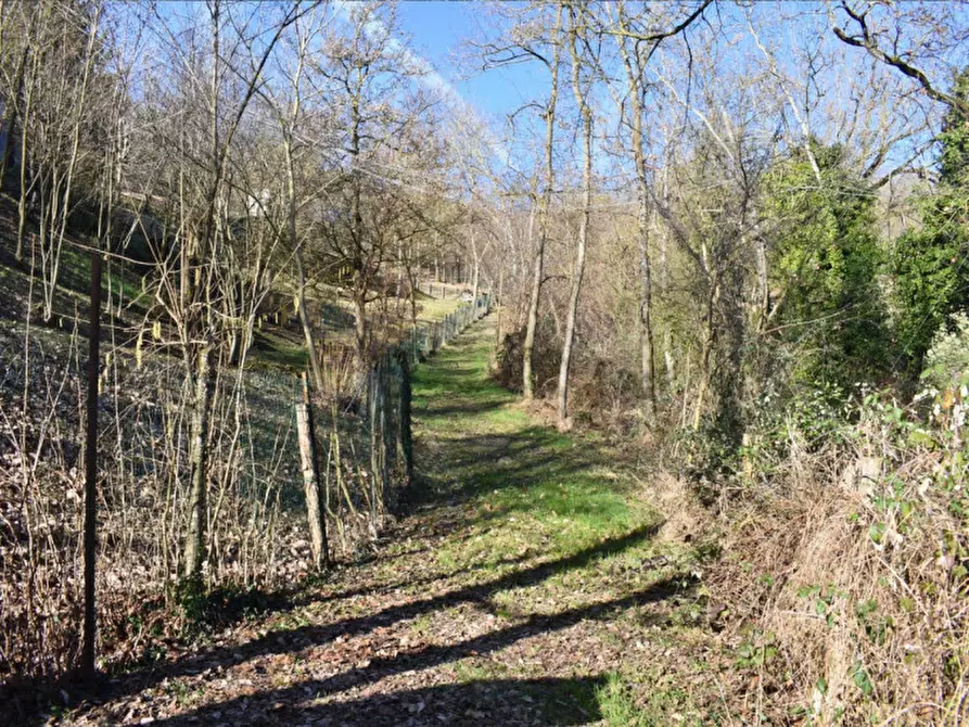 Immagine 15 di Terreno in vendita  in strada le Mole a Neviano Degli Arduini