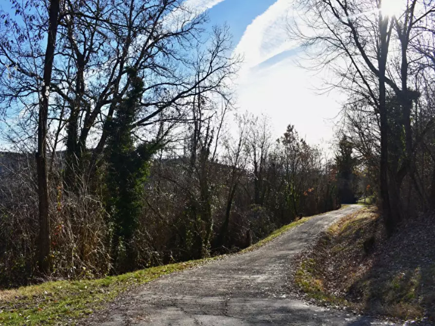 Immagine 17 di Terreno in vendita  in strada le Mole a Neviano Degli Arduini
