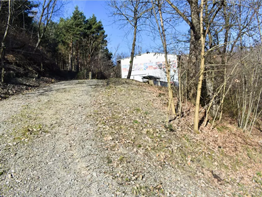 Immagine 18 di Terreno in vendita  in strada le Mole a Neviano Degli Arduini