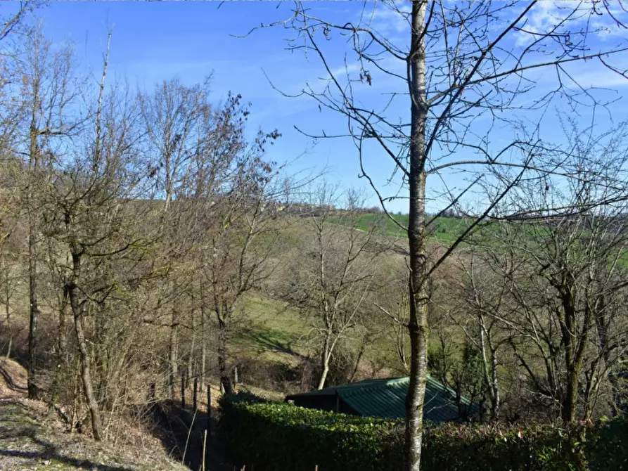 Immagine 19 di Terreno in vendita  in strada le Mole a Neviano Degli Arduini