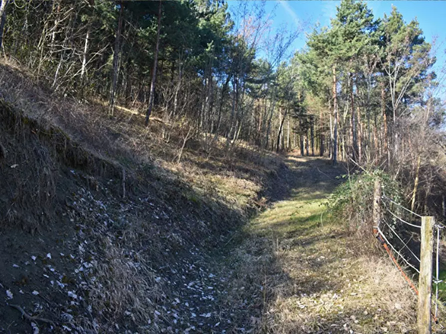 Immagine 22 di Terreno in vendita  in strada le Mole a Neviano Degli Arduini
