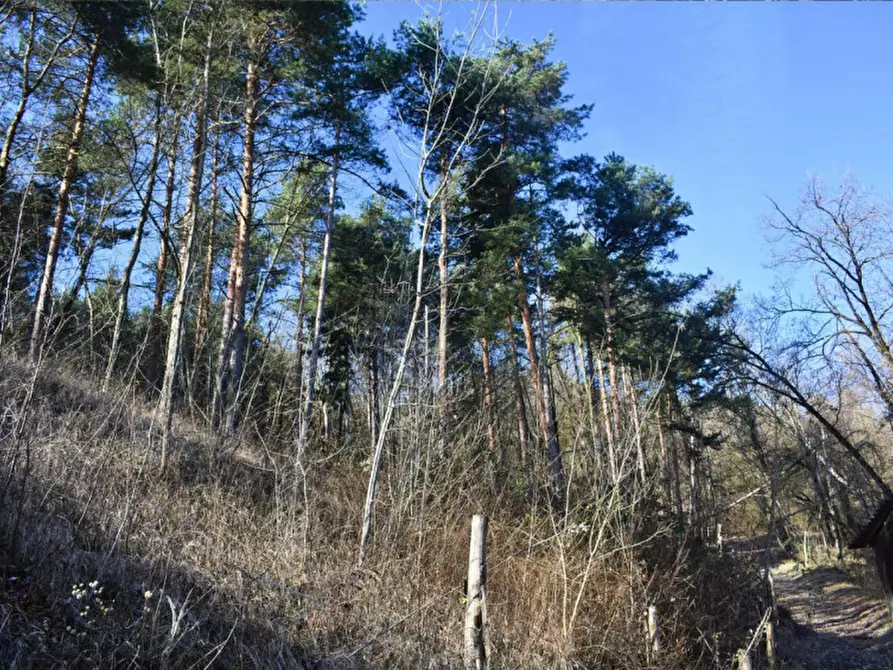 Immagine 33 di Terreno in vendita  in strada le Mole a Neviano Degli Arduini