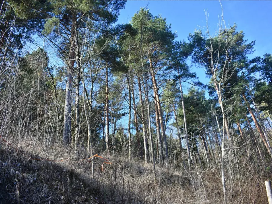 Immagine 34 di Terreno in vendita  in strada le Mole a Neviano Degli Arduini