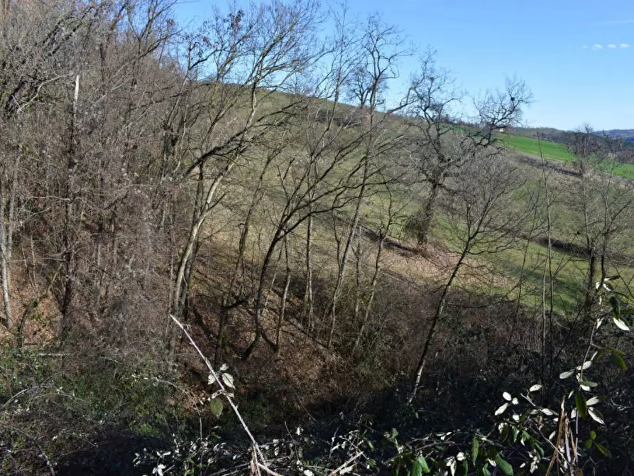 Immagine 36 di Terreno in vendita  in strada le Mole a Neviano Degli Arduini