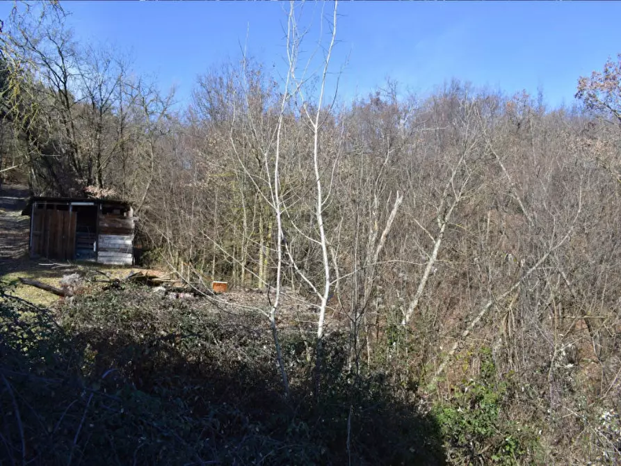 Immagine 37 di Terreno in vendita  in strada le Mole a Neviano Degli Arduini