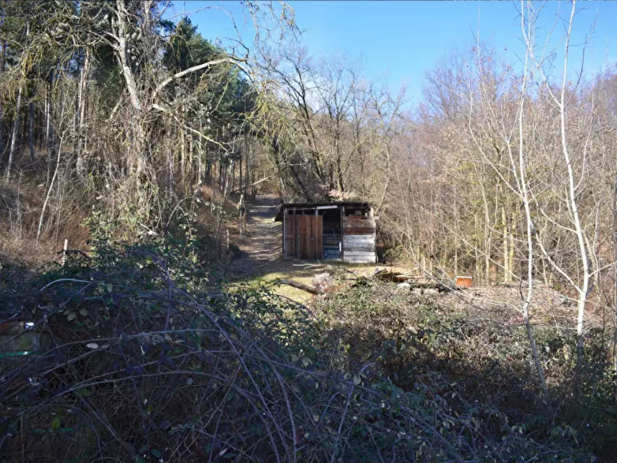 Immagine 38 di Terreno in vendita  in strada le Mole a Neviano Degli Arduini
