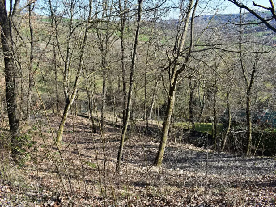 Immagine 40 di Terreno in vendita  in strada le Mole a Neviano Degli Arduini