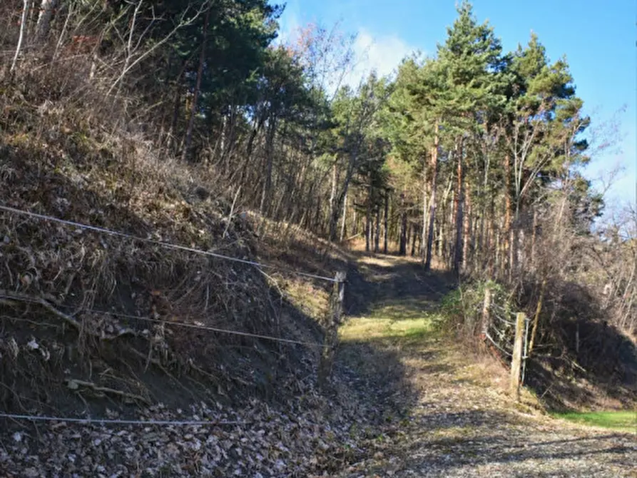 Immagine 42 di Terreno in vendita  in strada le Mole a Neviano Degli Arduini