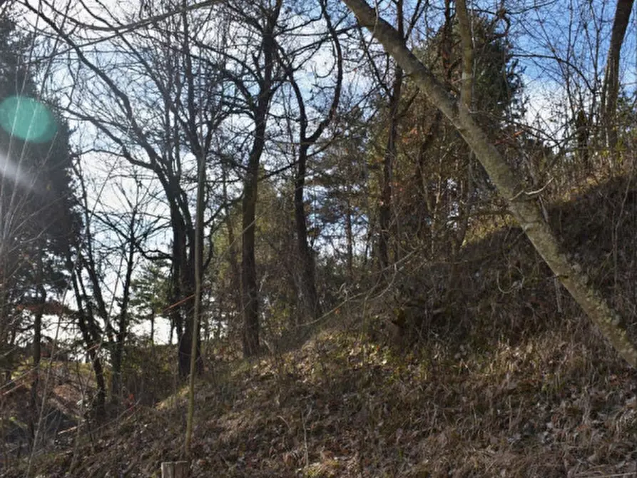 Immagine 43 di Terreno in vendita  in strada le Mole a Neviano Degli Arduini