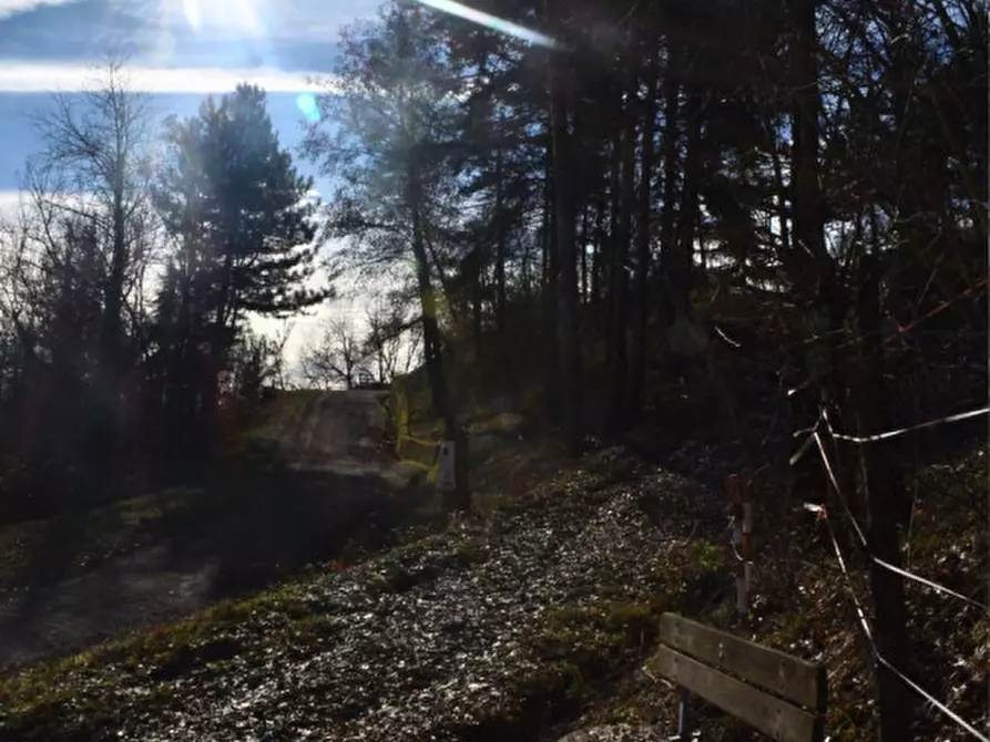 Immagine 44 di Terreno in vendita  in strada le Mole a Neviano Degli Arduini