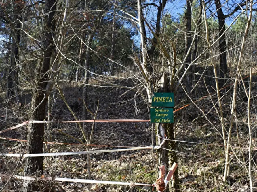 Immagine 45 di Terreno in vendita  in strada le Mole a Neviano Degli Arduini