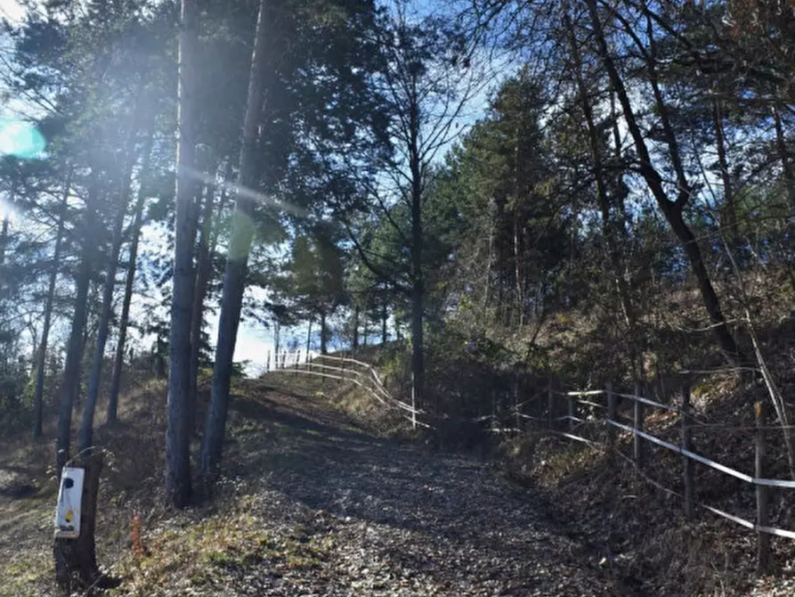 Immagine 46 di Terreno in vendita  in strada le Mole a Neviano Degli Arduini