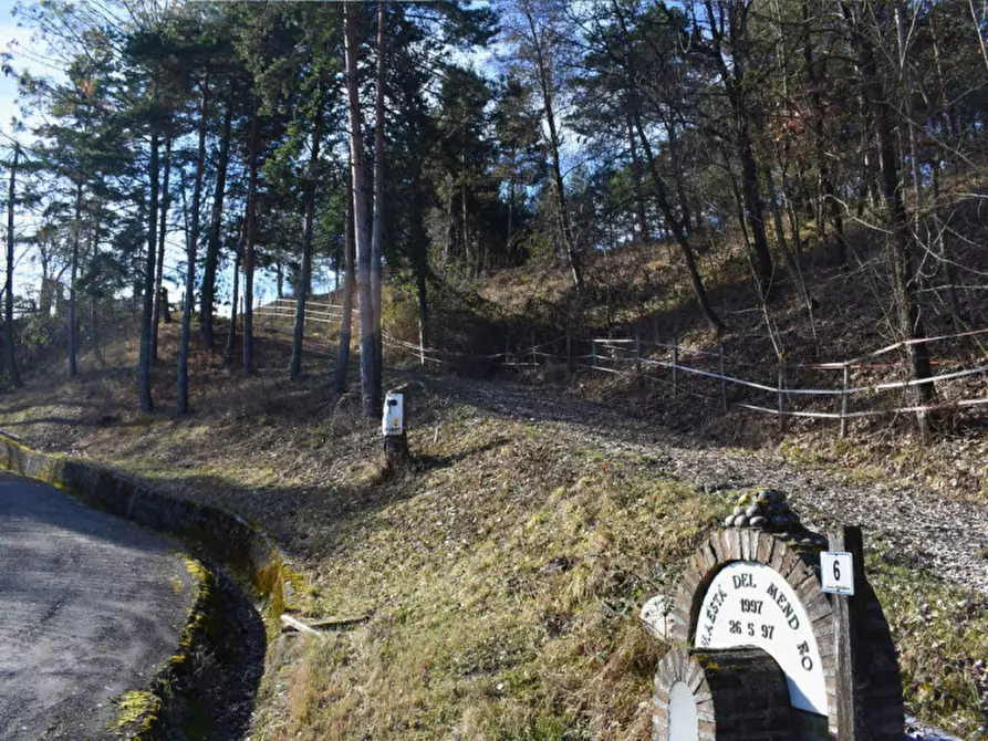 Immagine 47 di Terreno in vendita  in strada le Mole a Neviano Degli Arduini