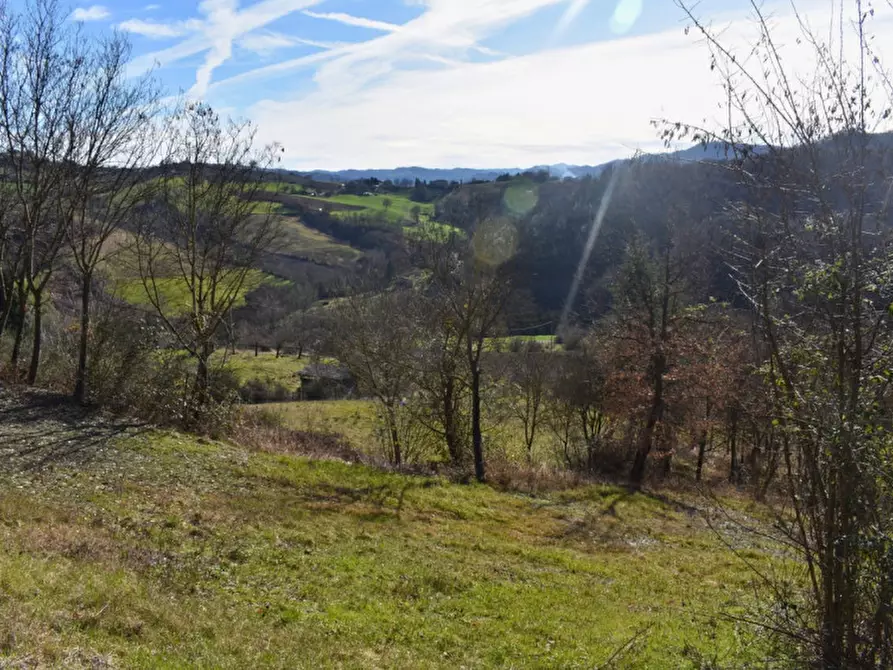 Immagine 51 di Terreno in vendita  in strada le Mole a Neviano Degli Arduini
