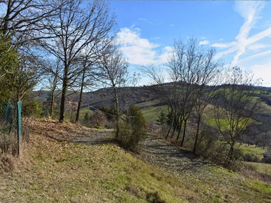 Immagine 52 di Terreno in vendita  in strada le Mole a Neviano Degli Arduini