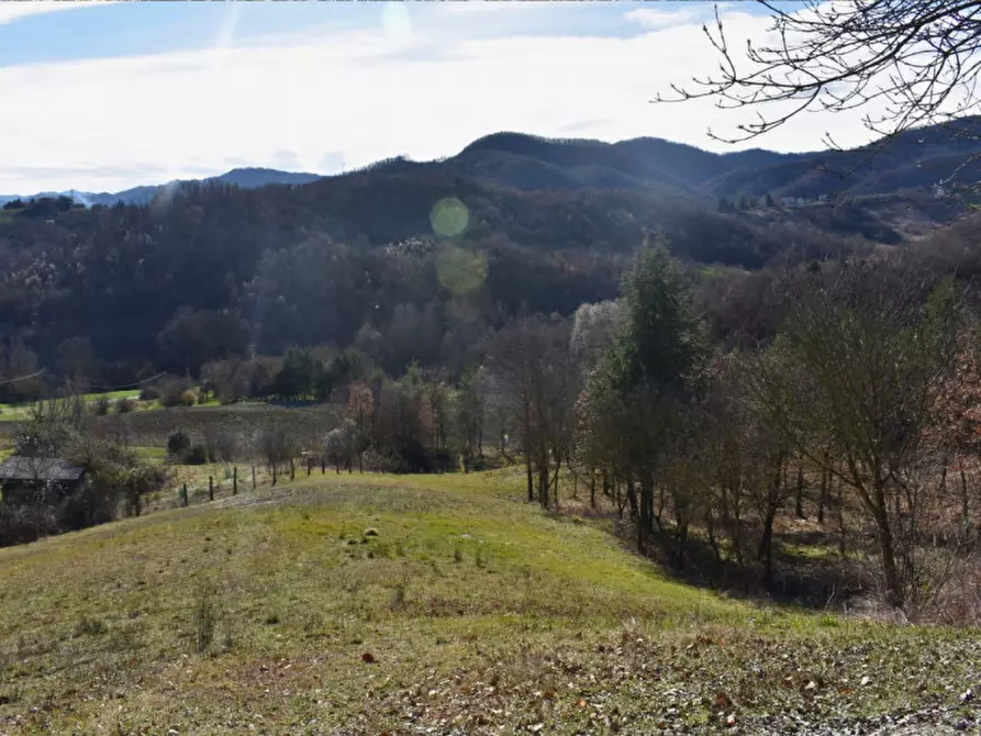 Immagine 54 di Terreno in vendita  in strada le Mole a Neviano Degli Arduini