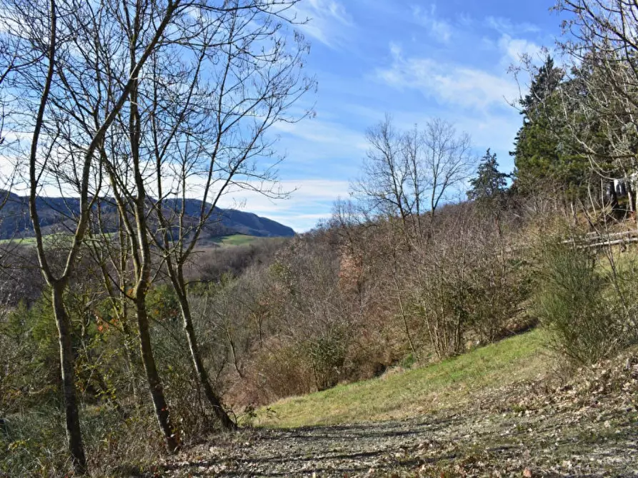 Immagine 55 di Terreno in vendita  in strada le Mole a Neviano Degli Arduini