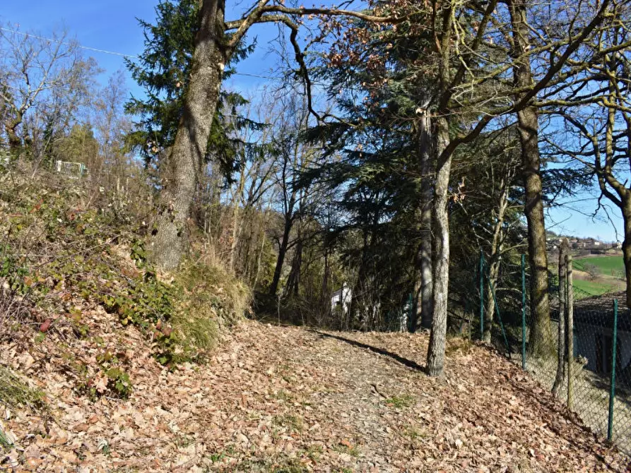 Immagine 56 di Terreno in vendita  in strada le Mole a Neviano Degli Arduini
