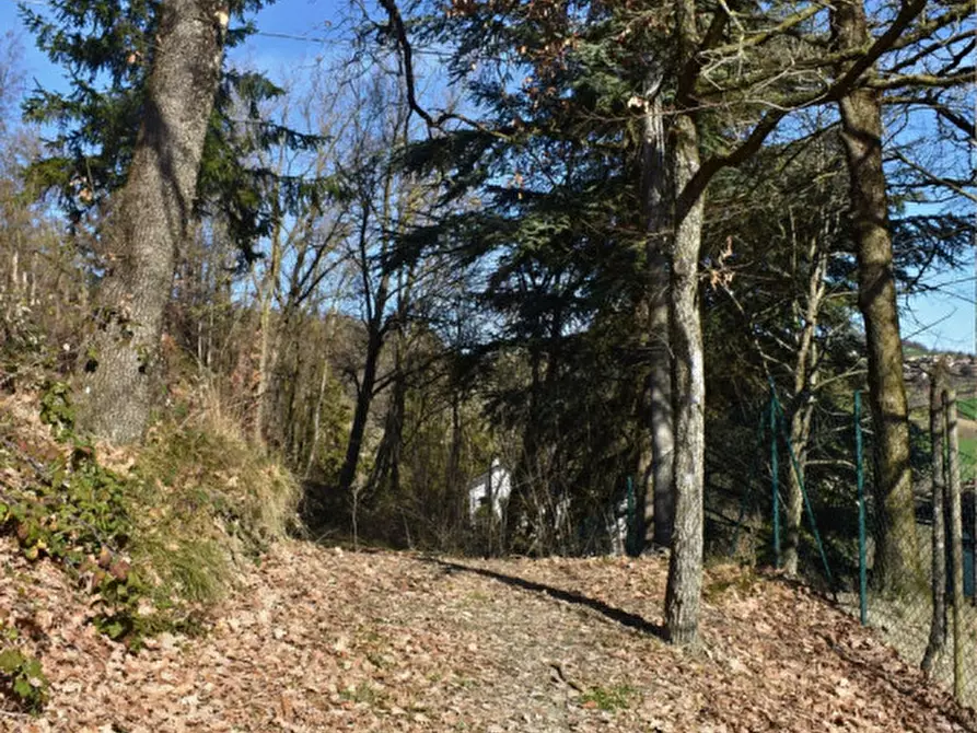 Immagine 57 di Terreno in vendita  in strada le Mole a Neviano Degli Arduini