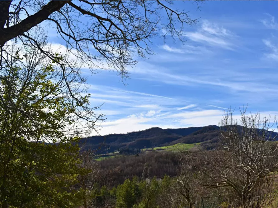 Immagine 58 di Terreno in vendita  in strada le Mole a Neviano Degli Arduini